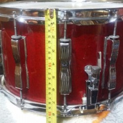 Ludwig 8″Snare